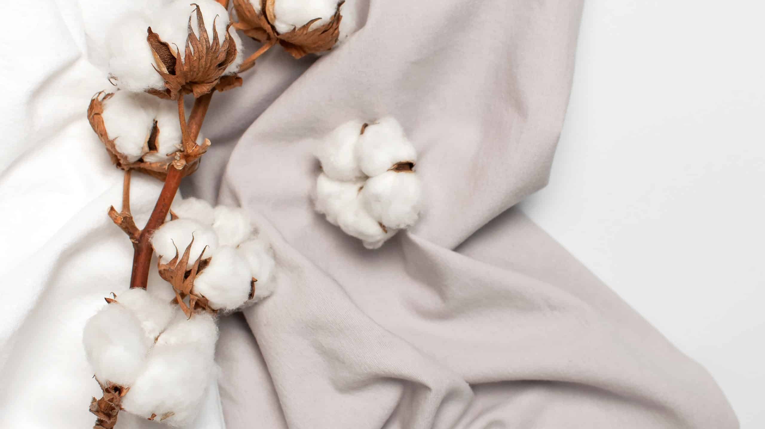 Organic Cotton Fabric
