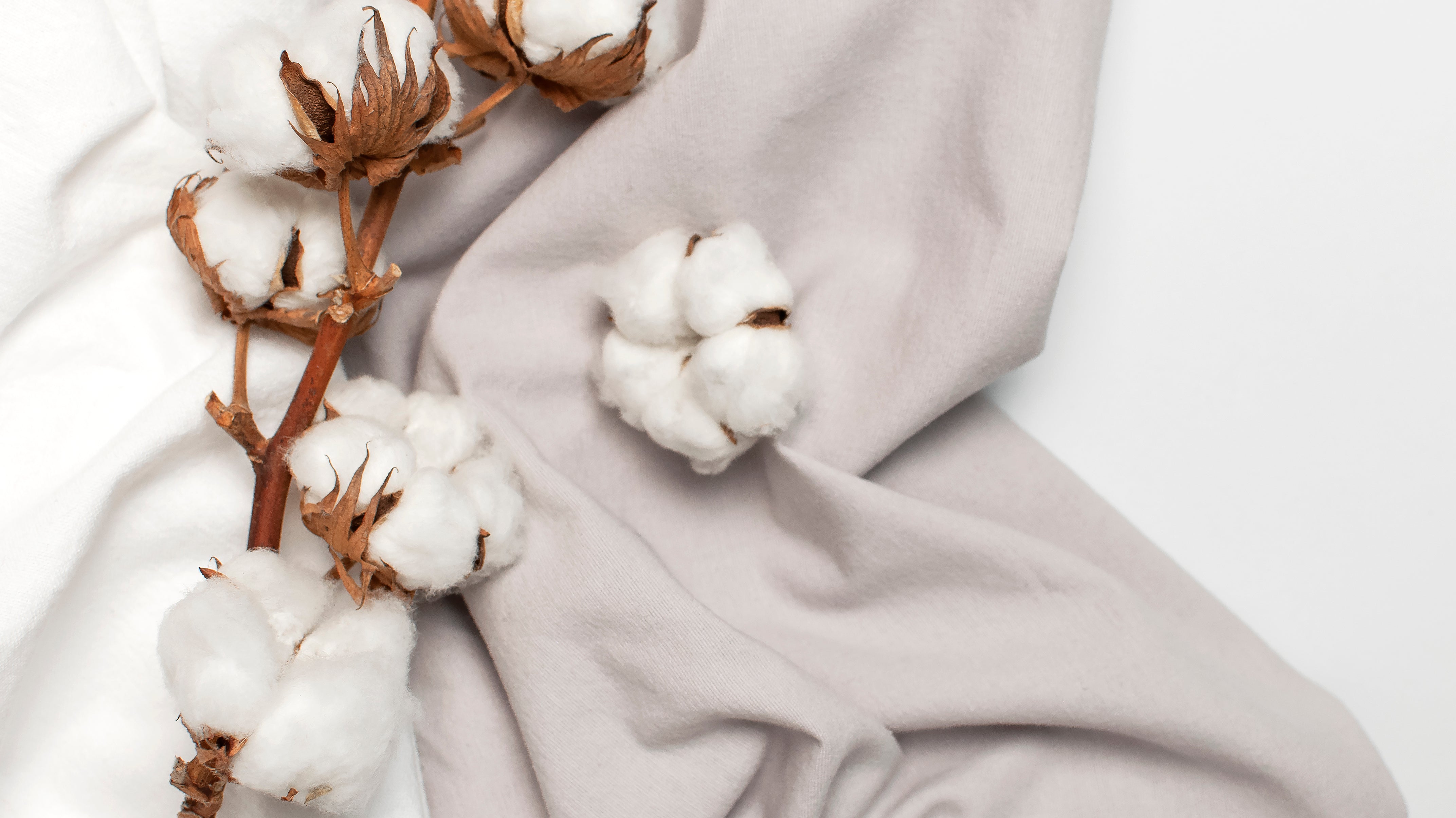 A Moment on your Hips, Forever on your Lips!