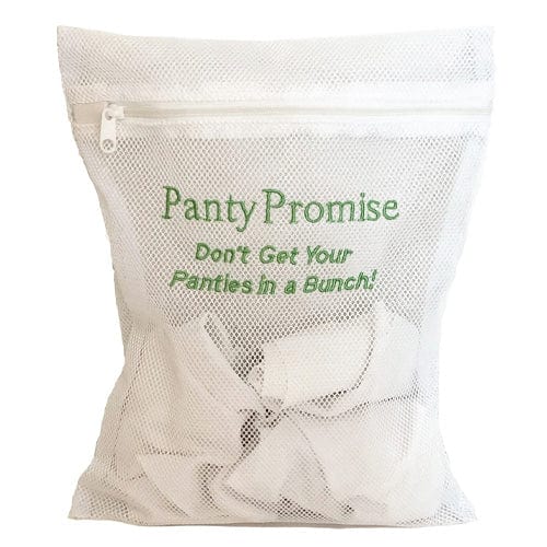 Panty Wash & Travel Bag